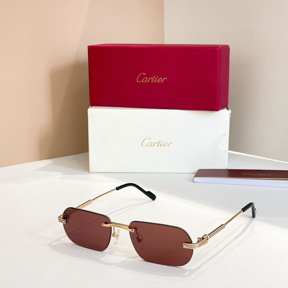 Gafas Cartier 105