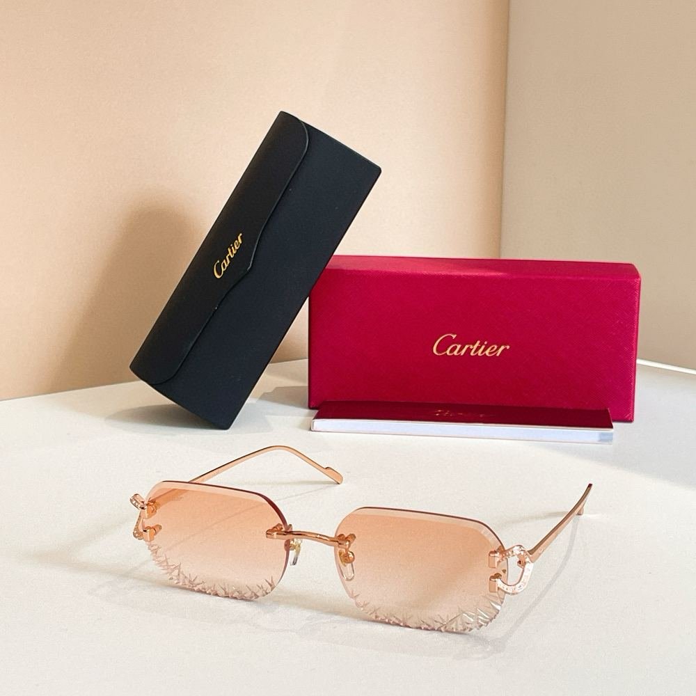 Gafas Cartier 193