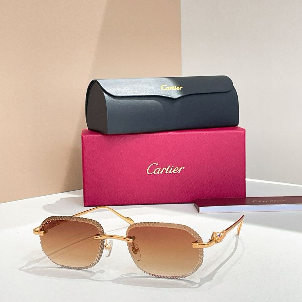 Gafas Cartier 205